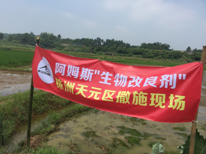 生物改良劑用于長株潭重金屬修復與治理現場