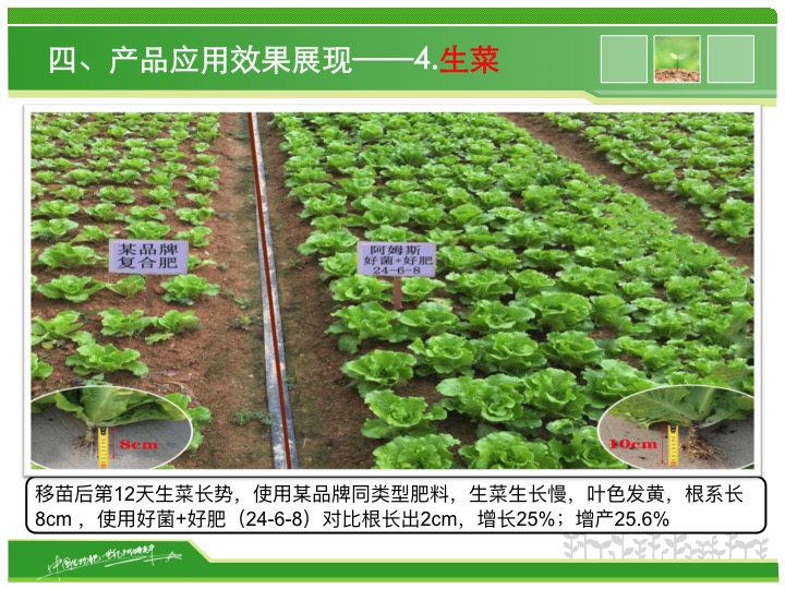 幻燈片20 幻燈片20