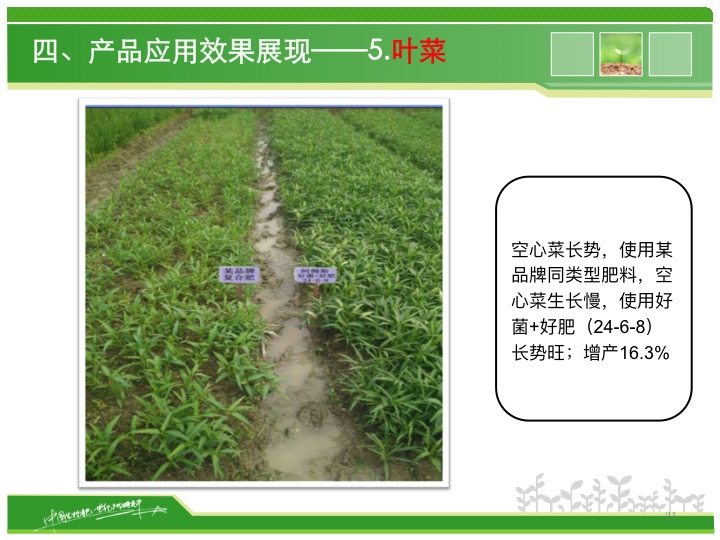 幻燈片21 幻燈片21