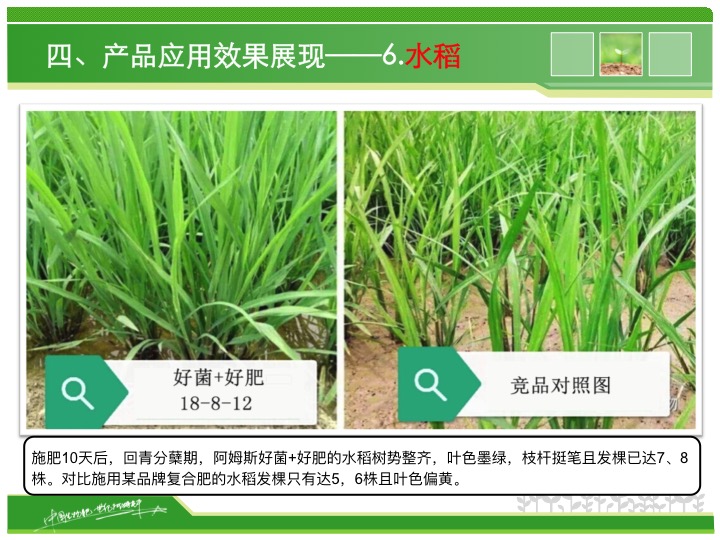 幻燈片22 幻燈片22