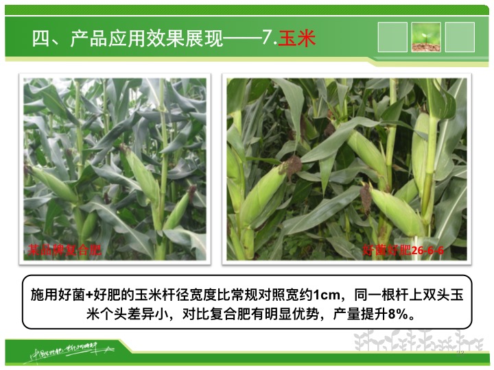 幻燈片23 幻燈片23