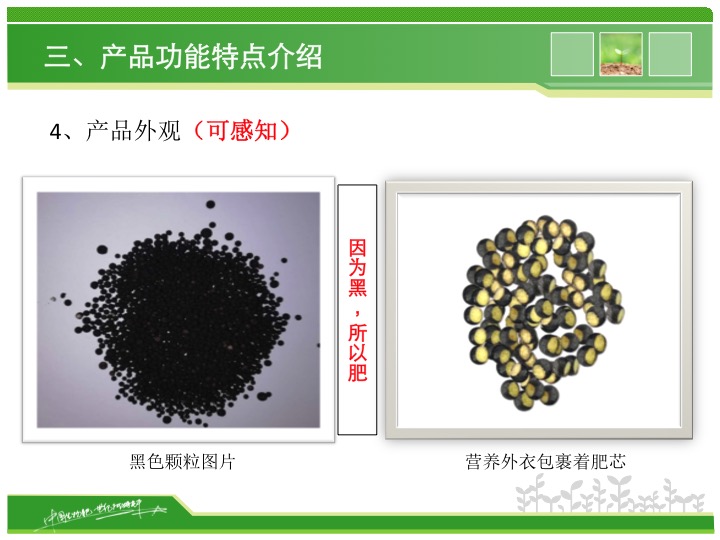 幻燈片09 幻燈片09