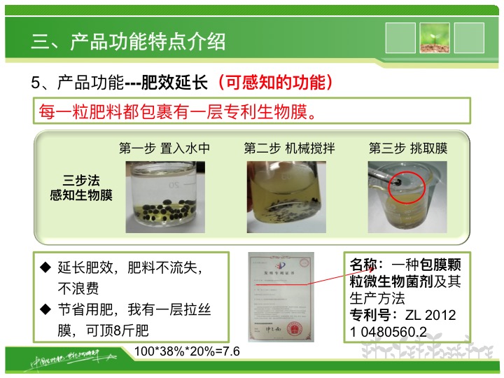 幻燈片11 幻燈片11