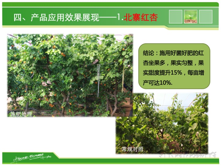 幻燈片17 幻燈片17