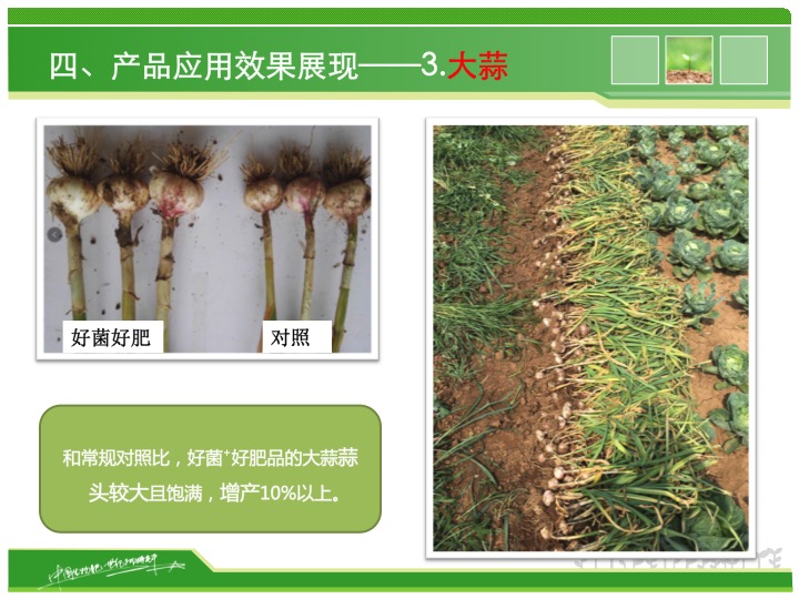 幻燈片19 幻燈片19