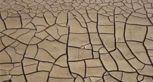 微生物肥料辣么貴！我們?yōu)槭裁催€要用？