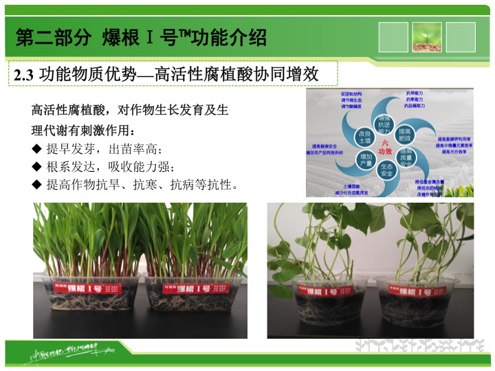 幻燈片08 幻燈片08