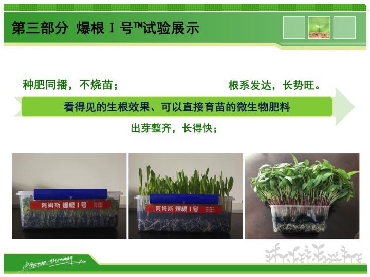 幻燈片09 幻燈片09