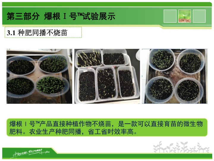 幻燈片10 幻燈片10