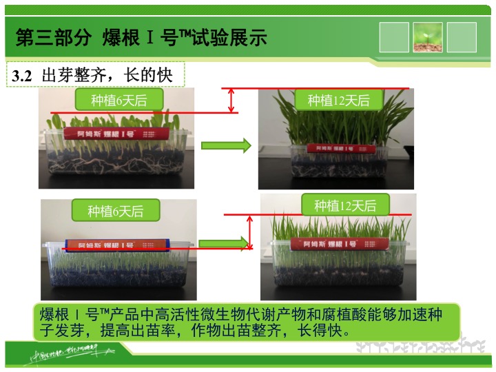 幻燈片11 幻燈片11