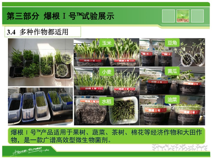 幻燈片14 幻燈片14