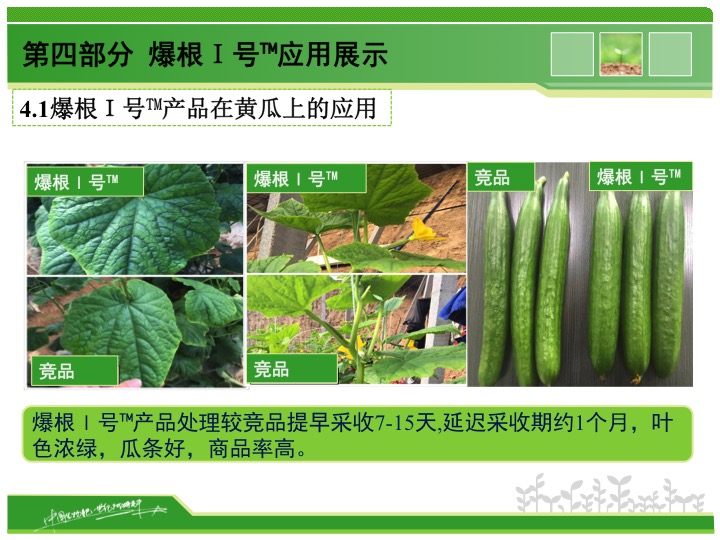 幻燈片16 幻燈片16