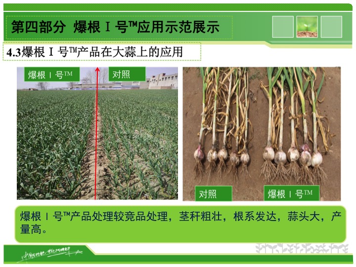 幻燈片18 幻燈片18