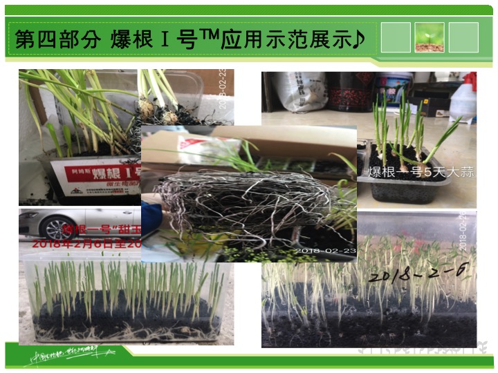 幻燈片21 幻燈片21