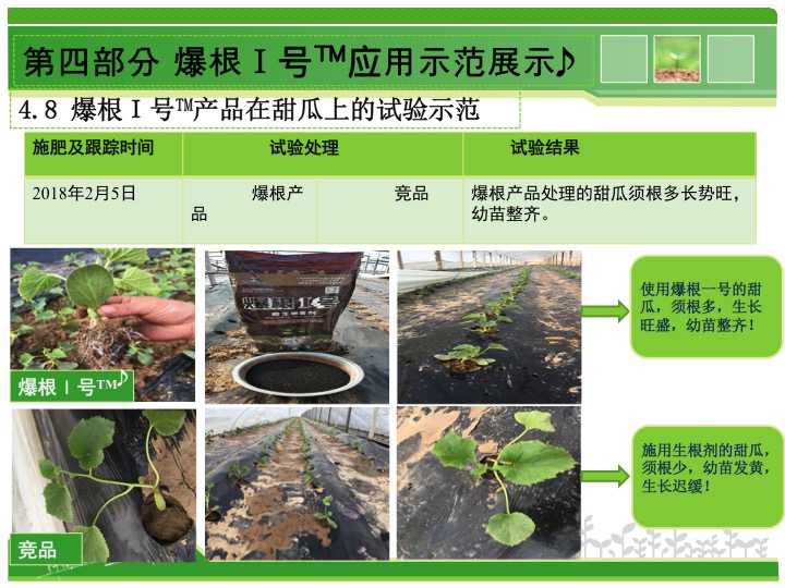 幻燈片24 幻燈片24