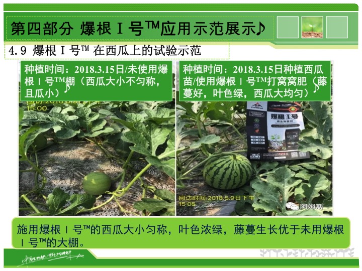 幻燈片25 幻燈片25