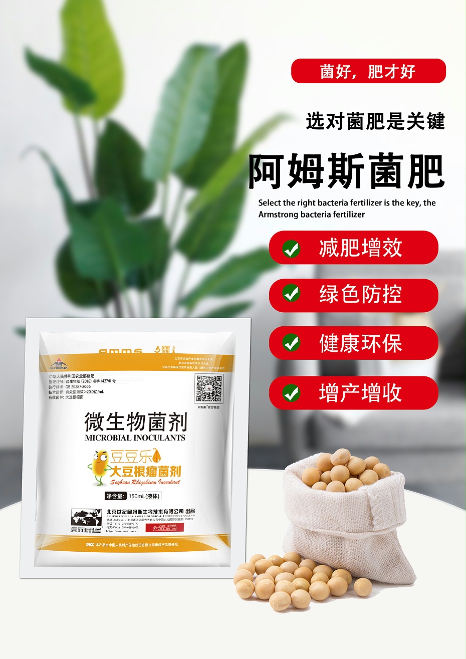 豆豆樂(lè)20億-2