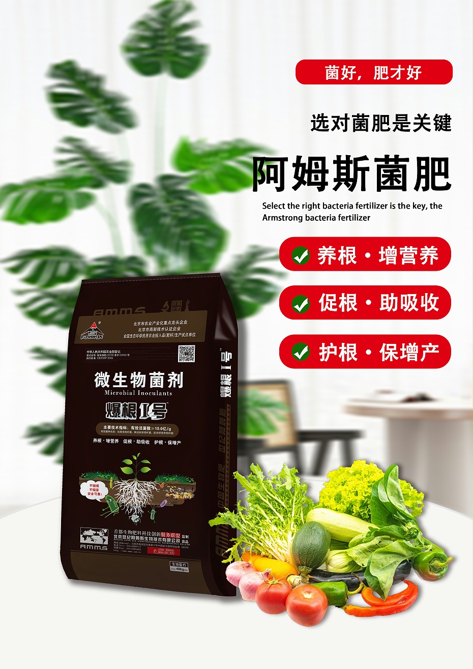 爆根1號(hào)2(40kg)